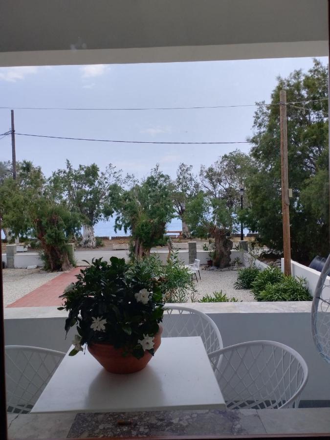 Hotel Zorbas Soúgia Esterno foto